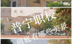 高中与职校，如何选才更适合未来？