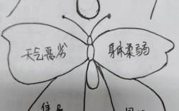 小学教资面试题怎么准备？