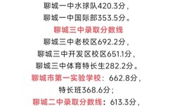 2025聊城高中录取榜