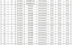 2025年小学成绩查询