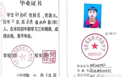 初中毕业读五年技校，学历到底算啥？