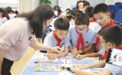 小学教育教学知识与能力视频如何高效提升教学能力？