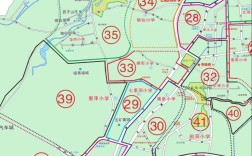 2025郴州小学入学条件有哪些新变化？