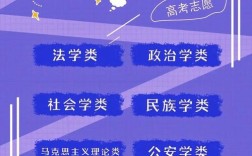 法学可以教小学什么学科