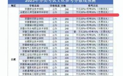 2025幼师单招分数线是多少？