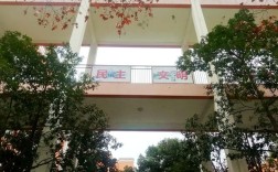 广元幼师学校学宗处电话是多少？