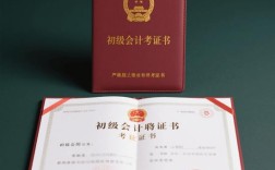 会计初级高中学历作假如何监管？