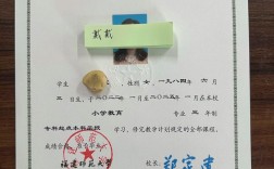 函授制在读本科报考幼师