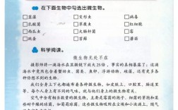 2025年小学科学答案