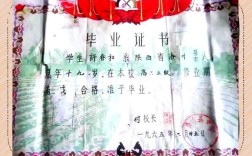 初中没有毕业能考的证书