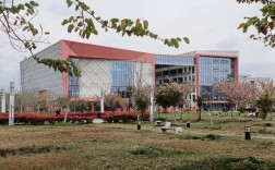 成都幼师职业学院哪所专业实力最强？