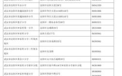 武汉市2025小学排名