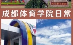 高中毕业自考成都体院怎么考？