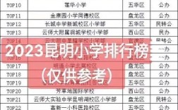 2025年昆明小学排名