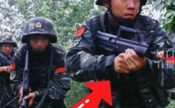 福建教师招考小学体育考什么？