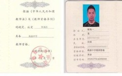 小学信息技术教资考什么？