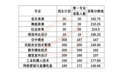 河南幼师19年录取分数线是多少？