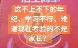 2025初中毕业，出路该怎么选？