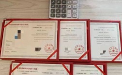 东莞幼师资格证报考官网是哪个？