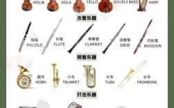 高中学声乐该学哪种乐器？