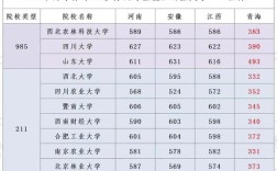 300多分能上哪些高中？