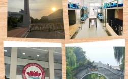 山东幼师本科学校有哪些？