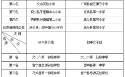 文山2025年小学招生