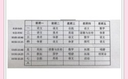 上海小学都开设哪些科目？