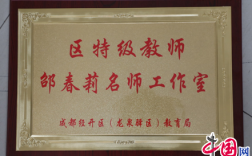 成都初中老师对文凭有啥具体要求？