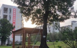 广东幼师专业 大专学校