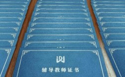 小学美术教师资格证考什么