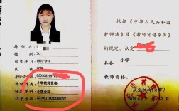 中小学教师资格证认定在何时何地办理？
