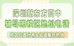 深圳高中补课班怎么选？靠谱的哪家强？