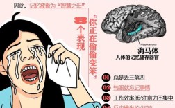 高中生记忆力下降怎么办