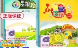 深圳市小学英语课堂跟踪