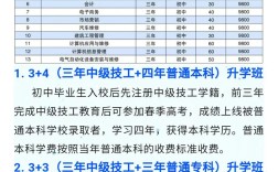 初中升中专录取时间几月公布？