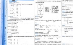 状元100小学开设科目