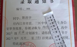 没考上高中，还能上哪些好学校？