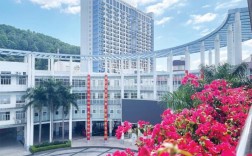 深圳哪些高中开设复读班？