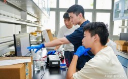 2025高中生暑期营有哪些亮点值得期待？