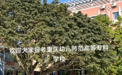 重庆职业学校幼师专业如何？