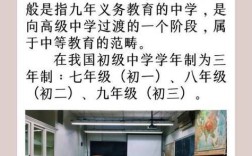 初中生毕业可以去学什么