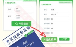湛江小学升初中成绩怎么查？