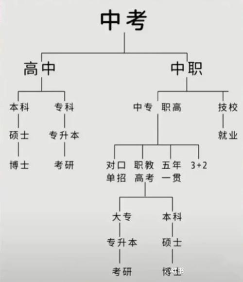 往届初中毕业生可读哪些学校?-图1 往届初中毕业生可读哪些学校?-图1