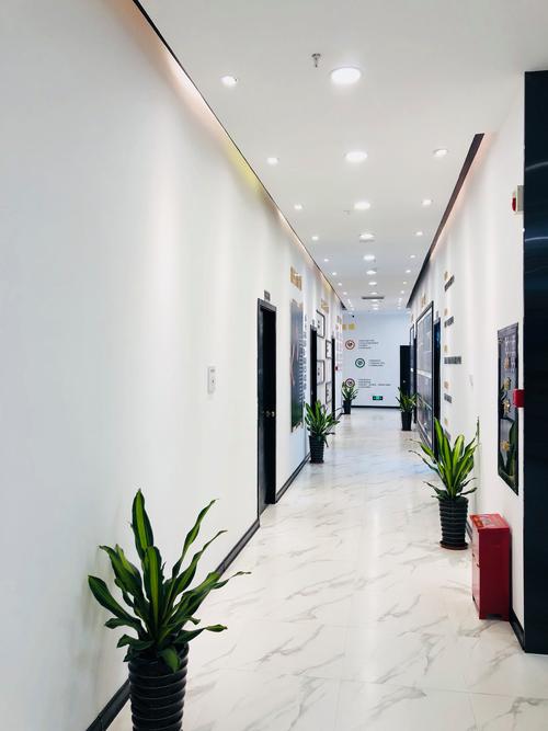 阜阳幼师资格证培训学校哪家好？-图2