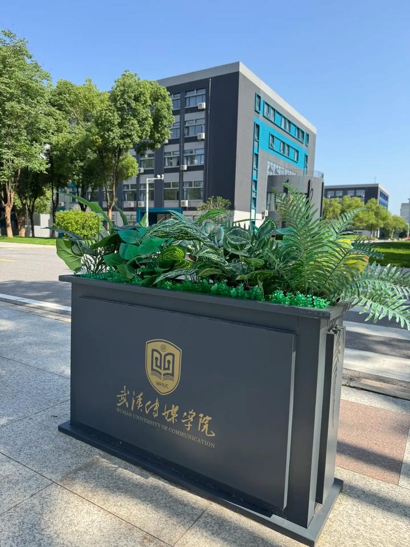 武汉哪些高中能学传媒?-图1 武汉哪些高中能学传媒?-图1