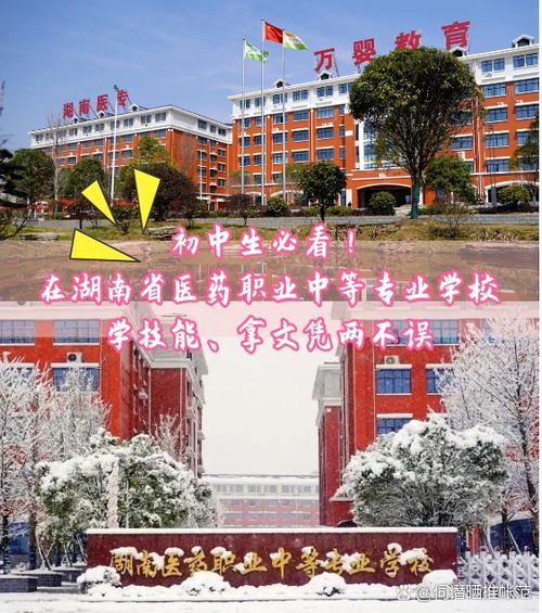 初中职业专业有哪些学校-图2