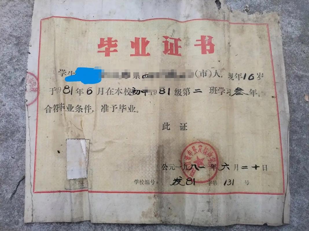 初中毕业能考什么实用执照？-图3