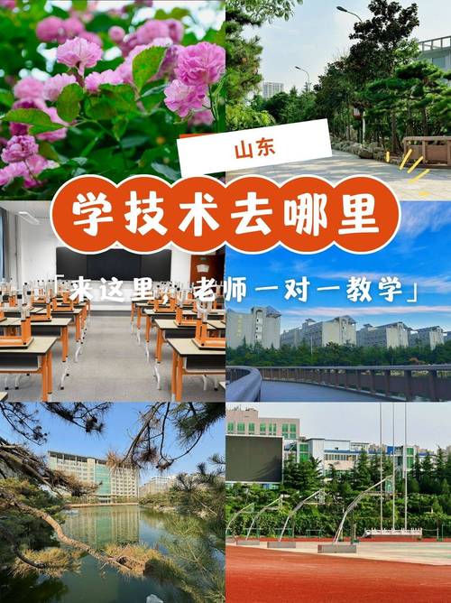 初中未毕业学什么技术好?-图1 初中未毕业学什么技术好?-图1