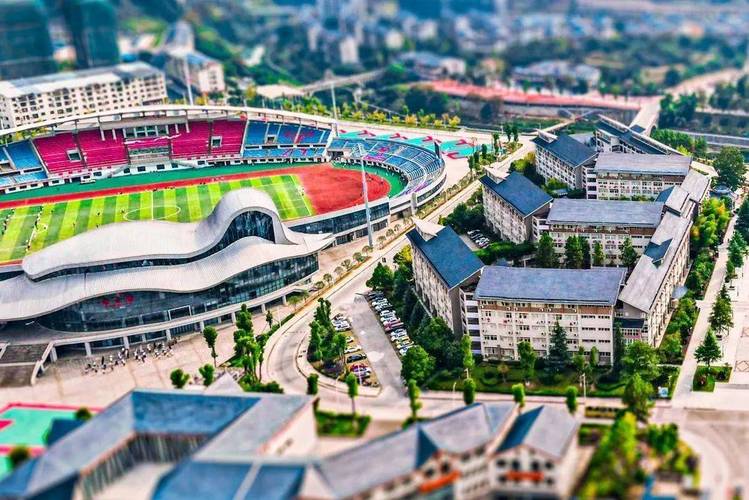 2025幼师资格证综合考什么?-图1 2025幼师资格证综合考什么?-图1